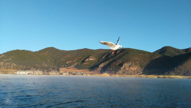 西昌瀘山邛海、知青博物館、摘草莓雙汽三日游